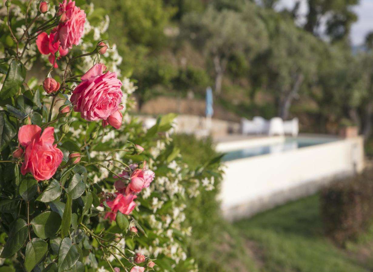 Villa Laura Capo dʼOrlando Dış mekan fotoğraf