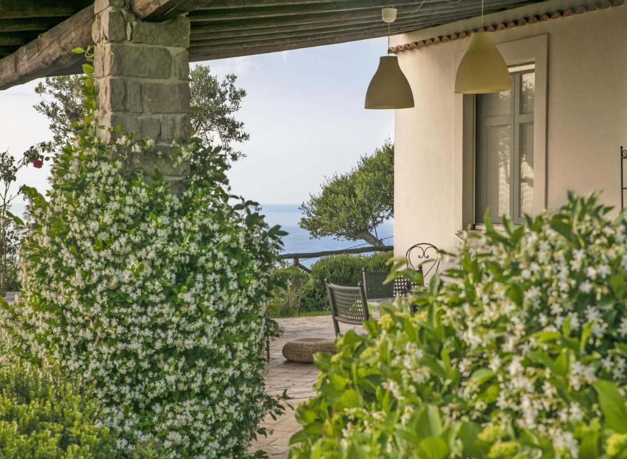 Villa Laura Capo dʼOrlando Dış mekan fotoğraf